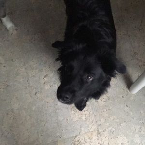 Meet your Posher, Misty